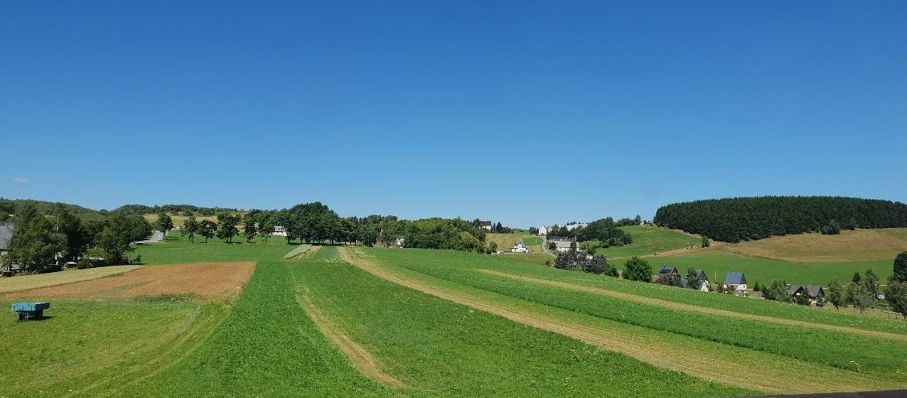 Hammerblick
